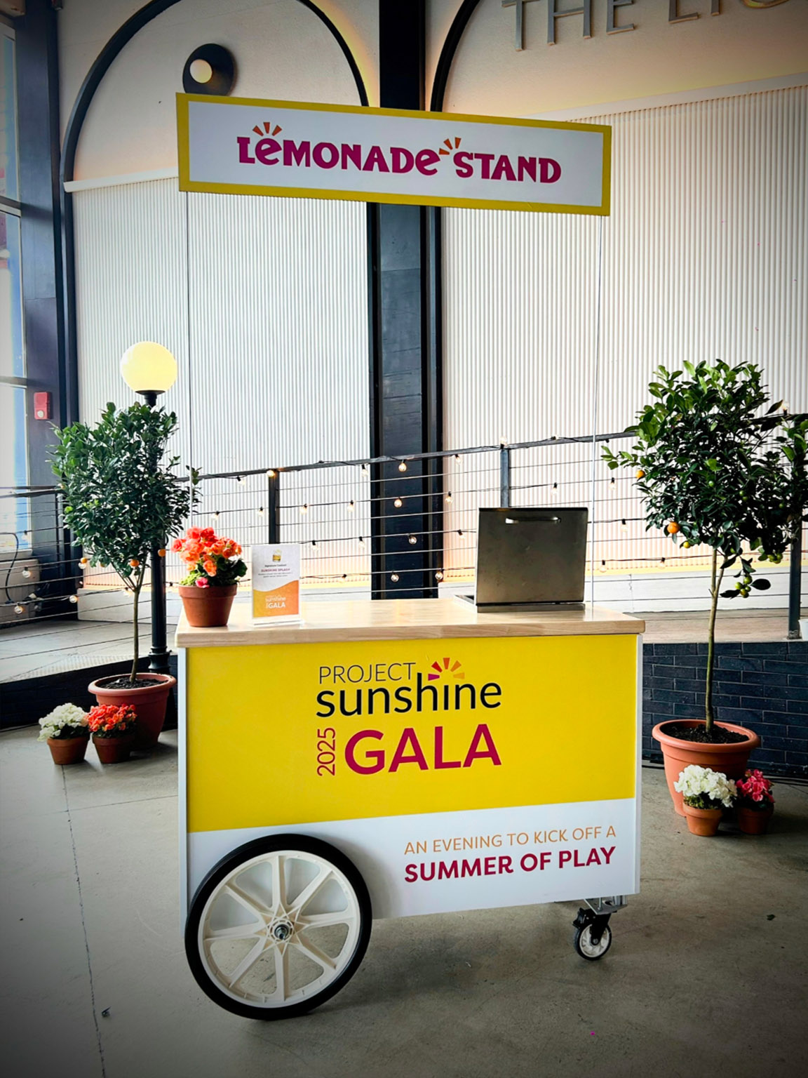 Branded Car Cart Rental New York City